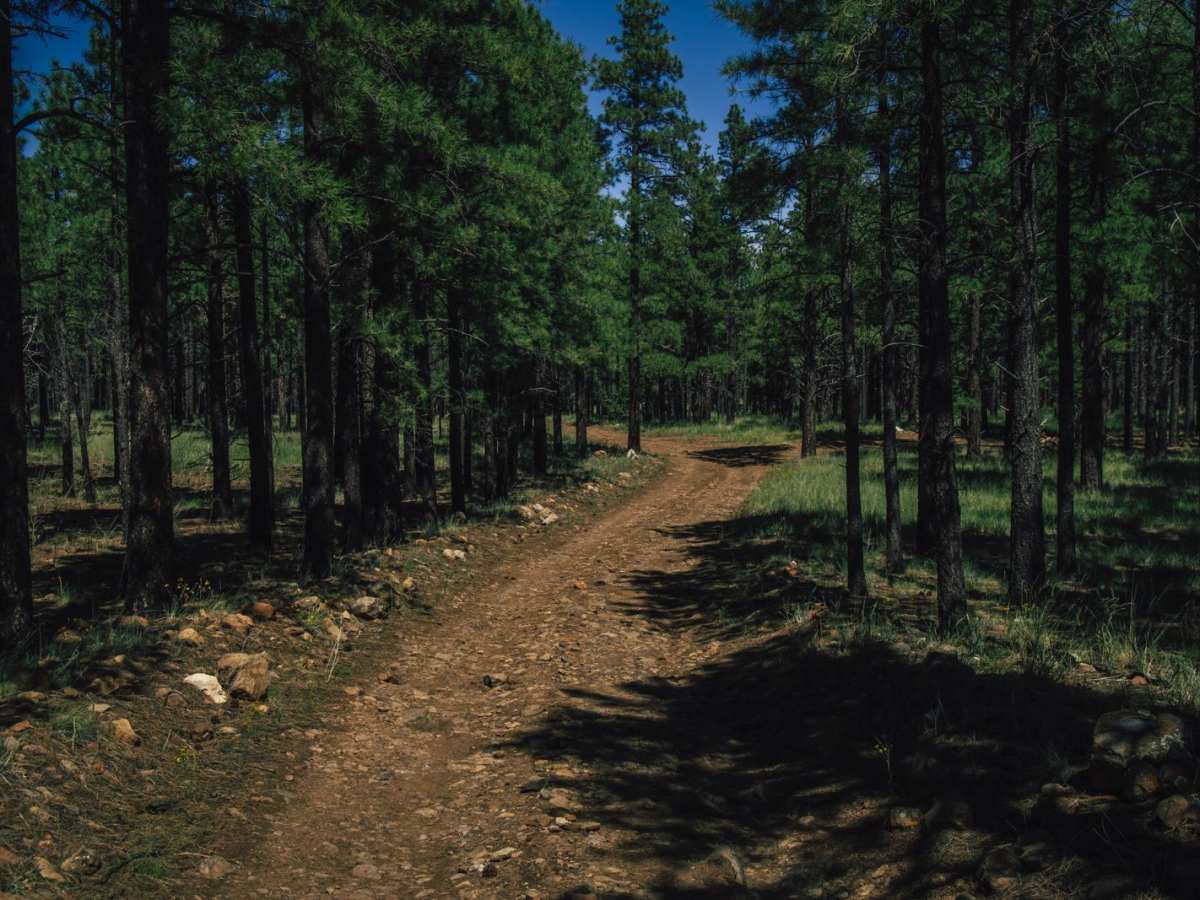 Bear Jaw Canyon photo 3