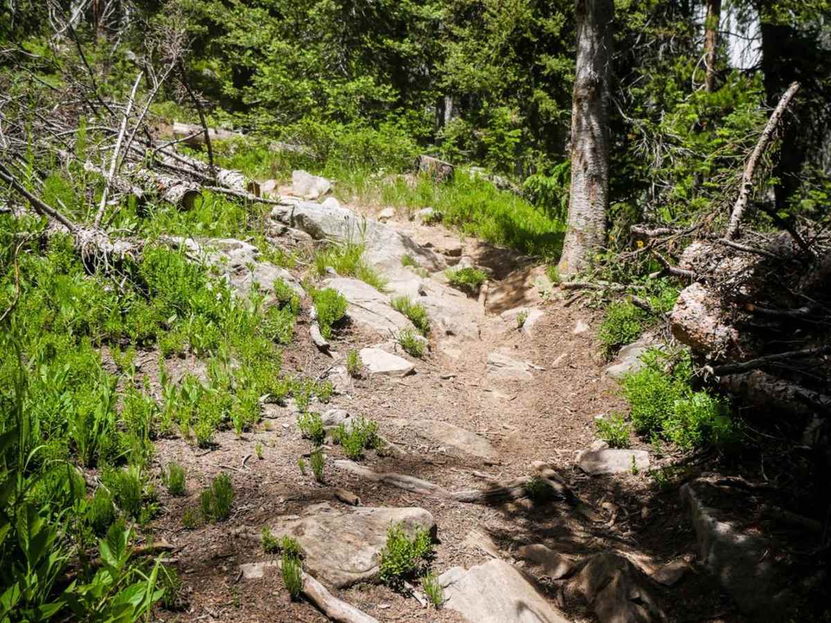 Whiskey Creek photo 3