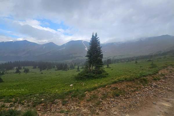 Webster Pass Road - FS 285
