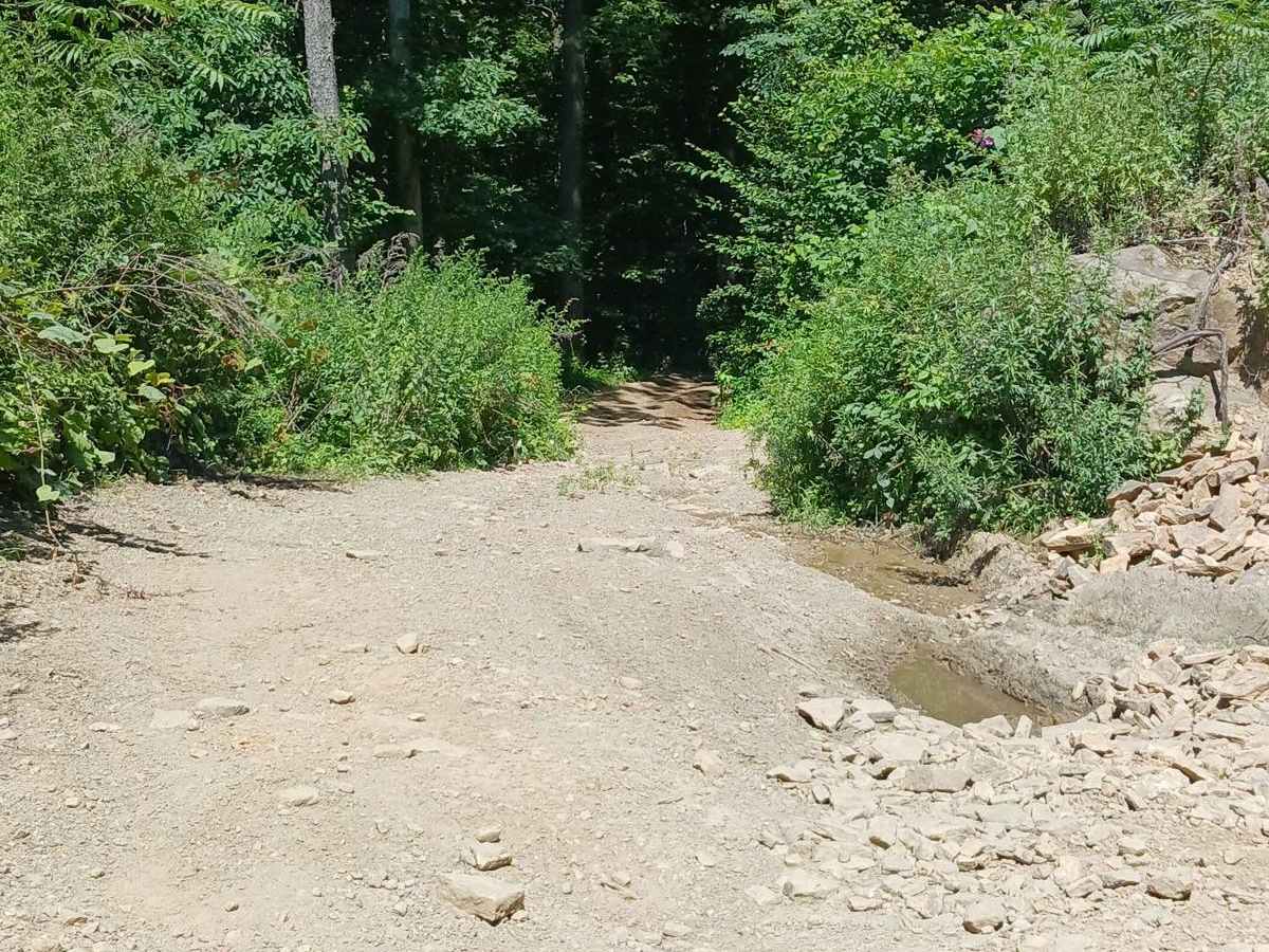 Gas Line Cut Off - Rock Run Recreation Area photo 2