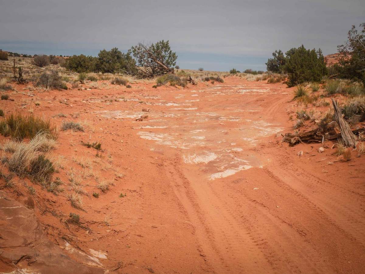 Judd Hollow/Cedar Mountain Road trail photo