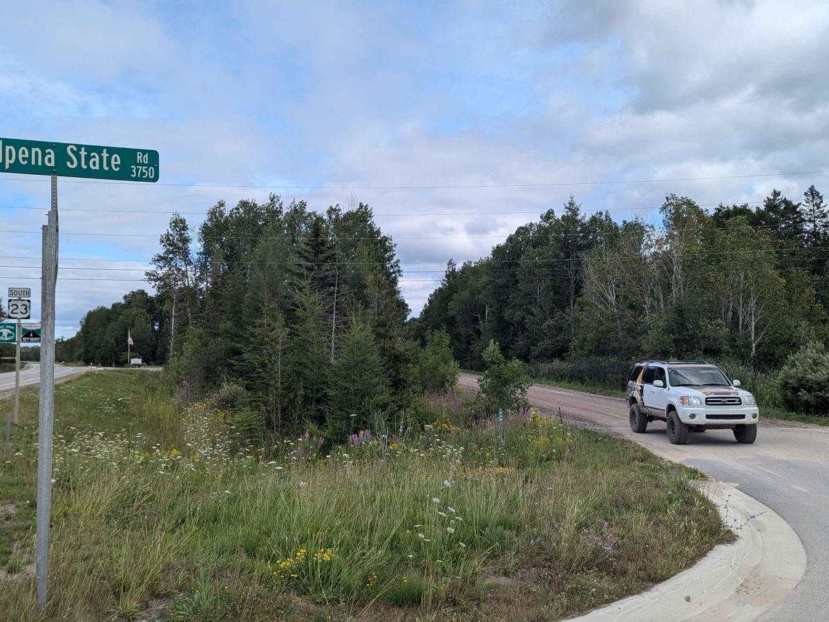 Alpina State Road trail photo