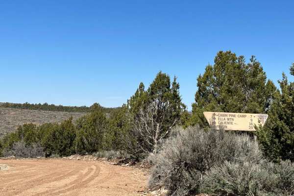 Bunker Pass Road