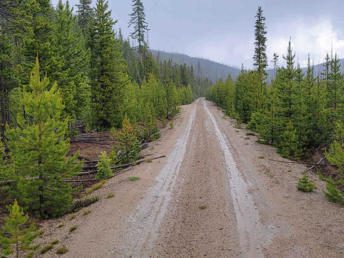 NF 4235 - Starvation Mountain photo 3