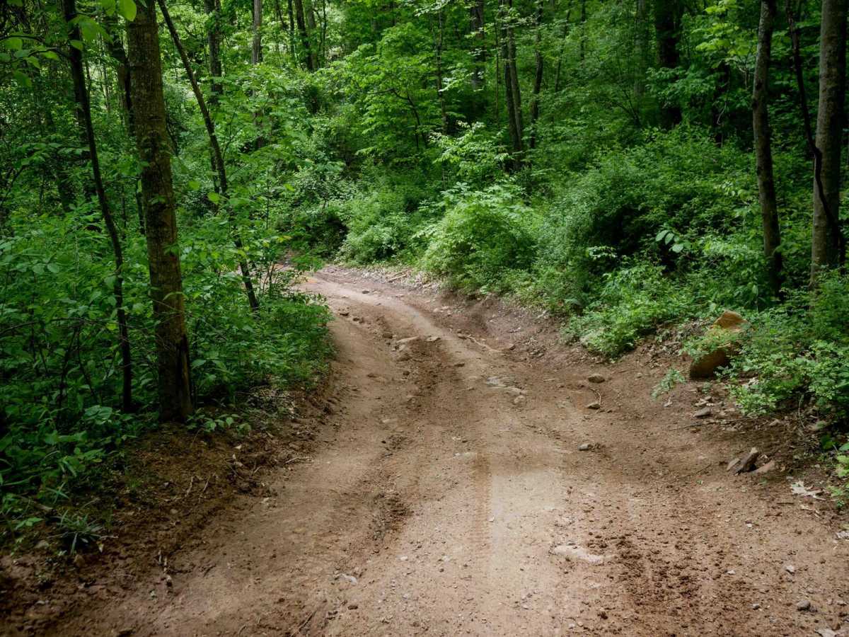 Trail 17 photo 2