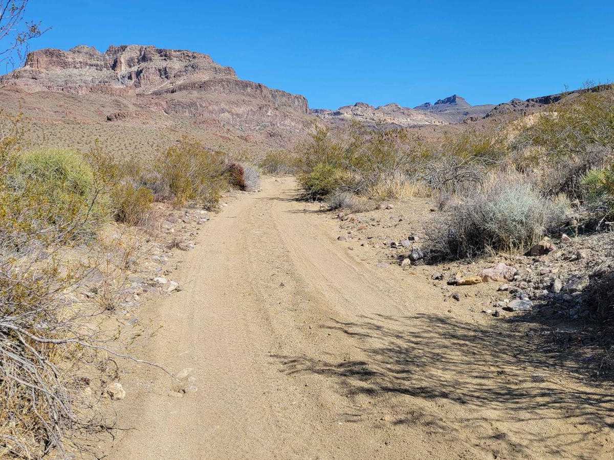 Cottonwood Canyon trail photo