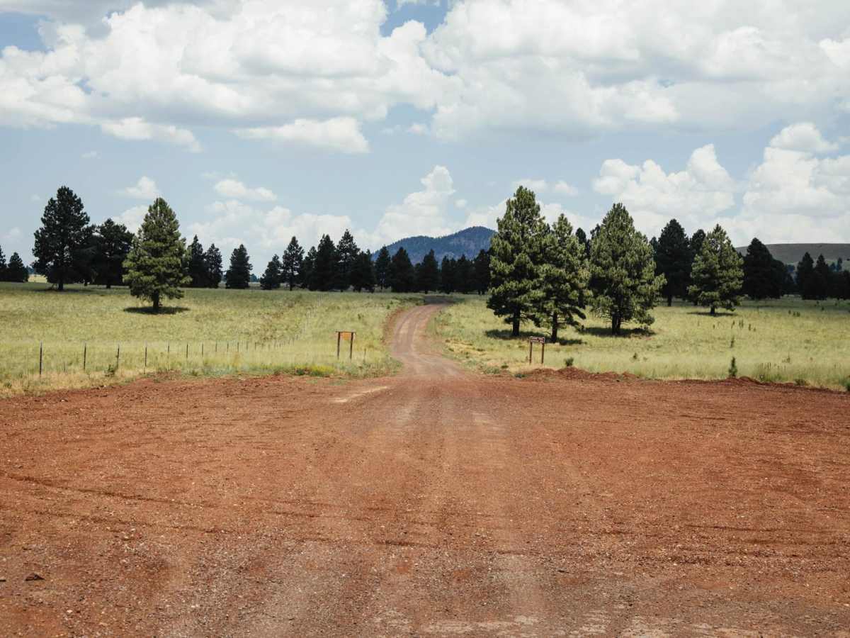 107 Road trail photo