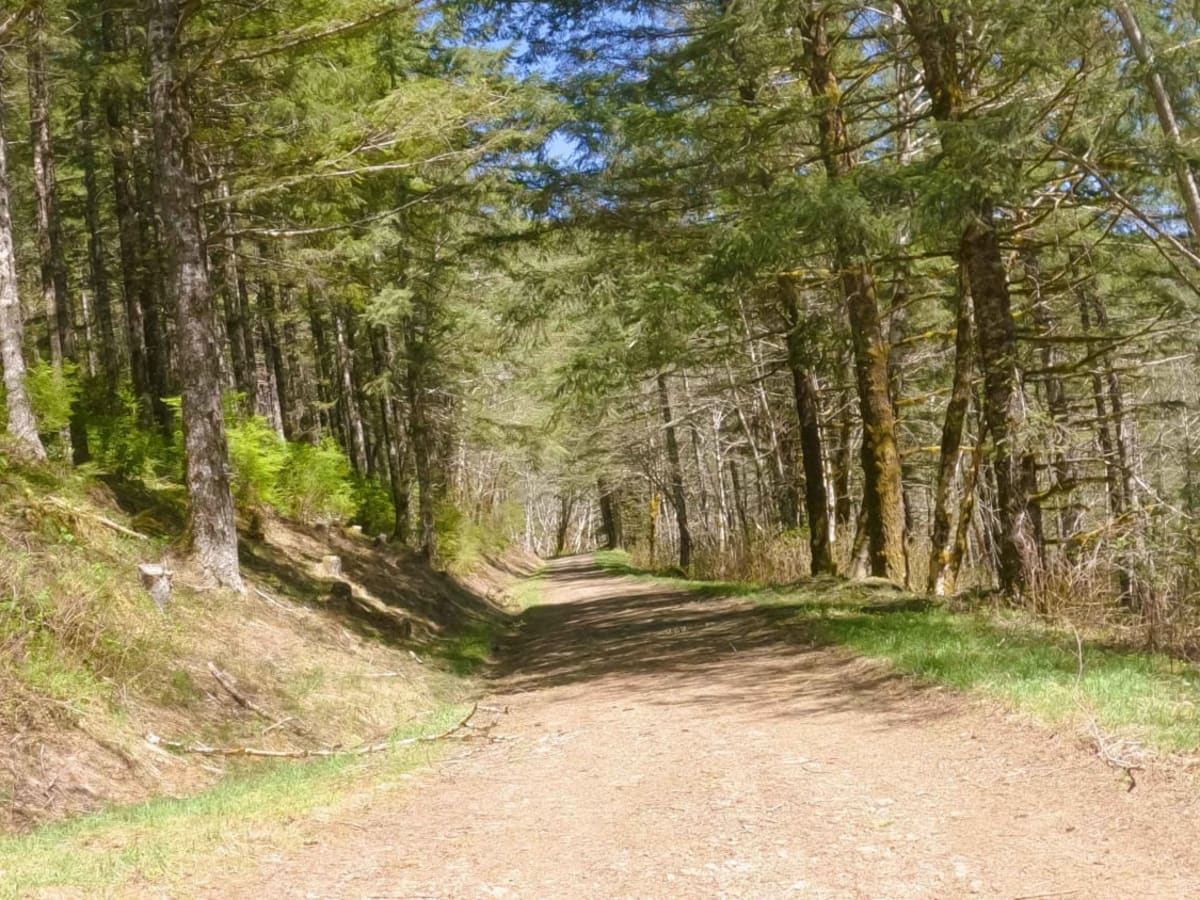 ZigZag Road - North photo 2