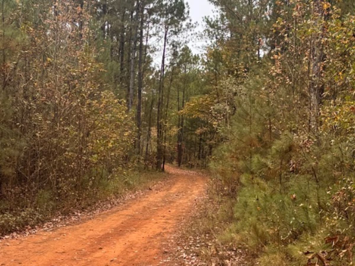 52 trail photo