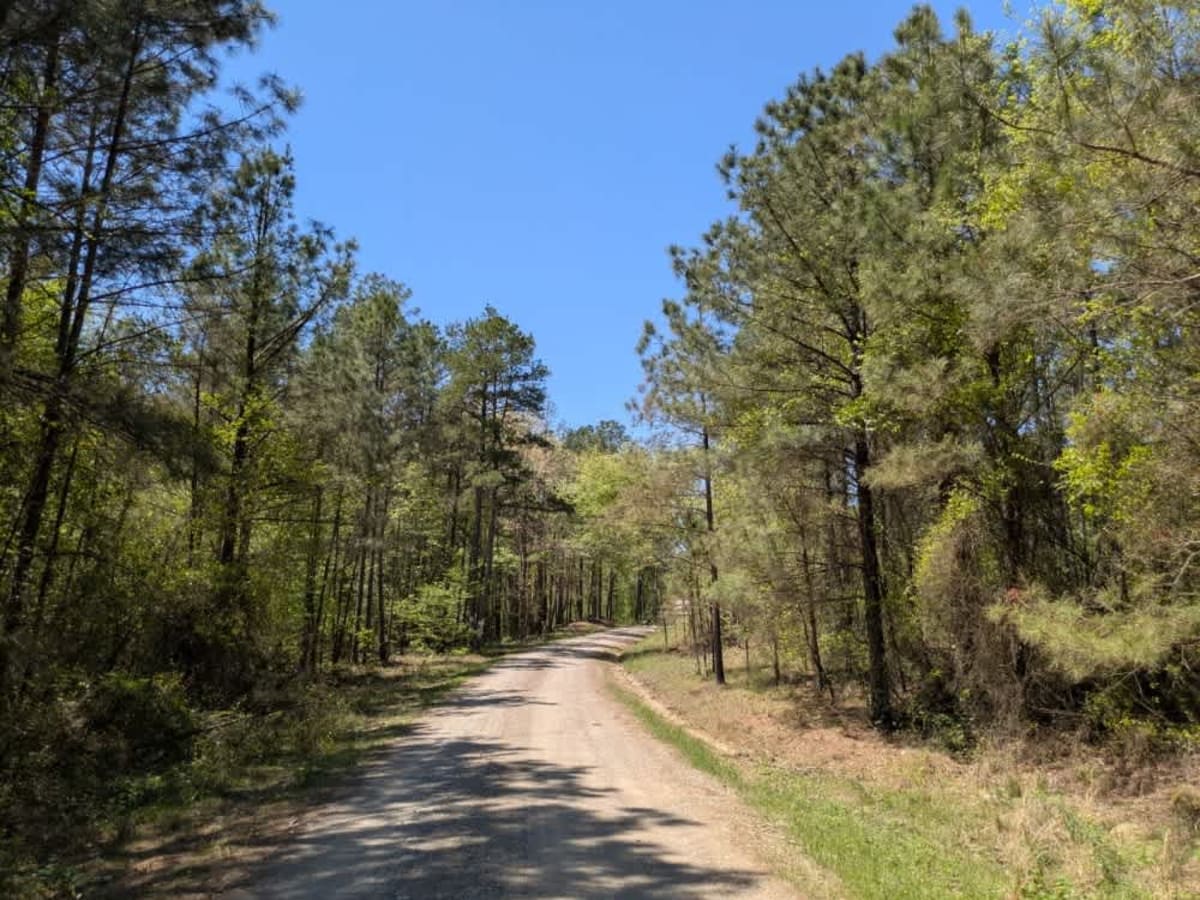 24200 trail photo