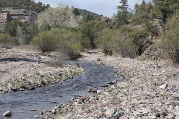 Mimbres River