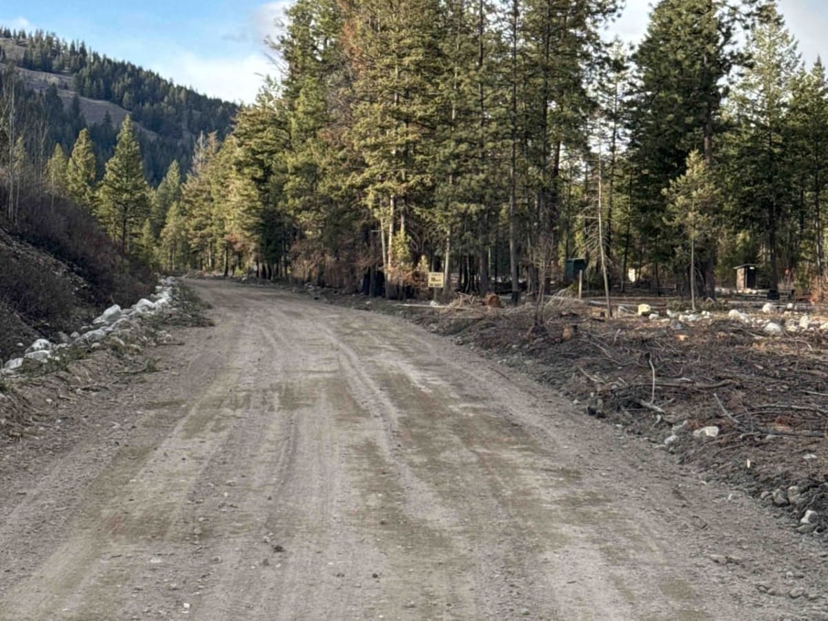 Bald Eagle Range FSR photo 2