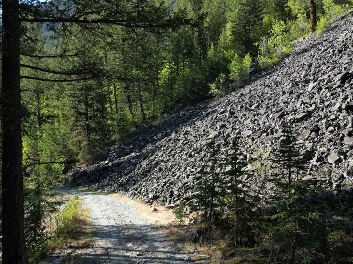 Mount Fisher / Mause Creek photo 4