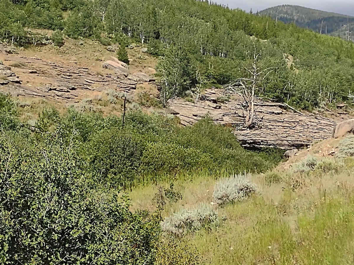 Indian 4WD Trail - FS 352 photo 4