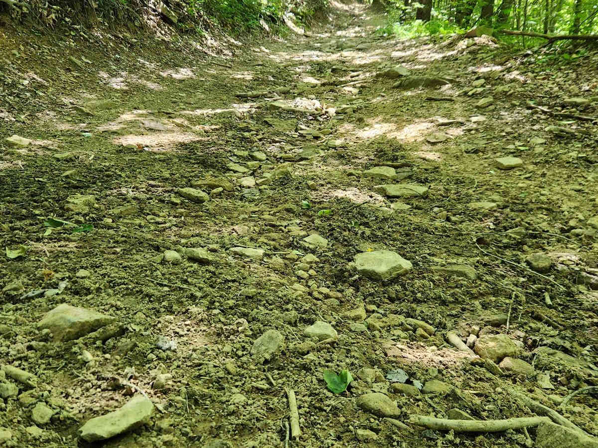 Lower Branch - Rock Run Recreation Area photo 3