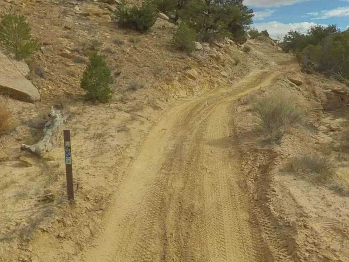BLM639 photo 2