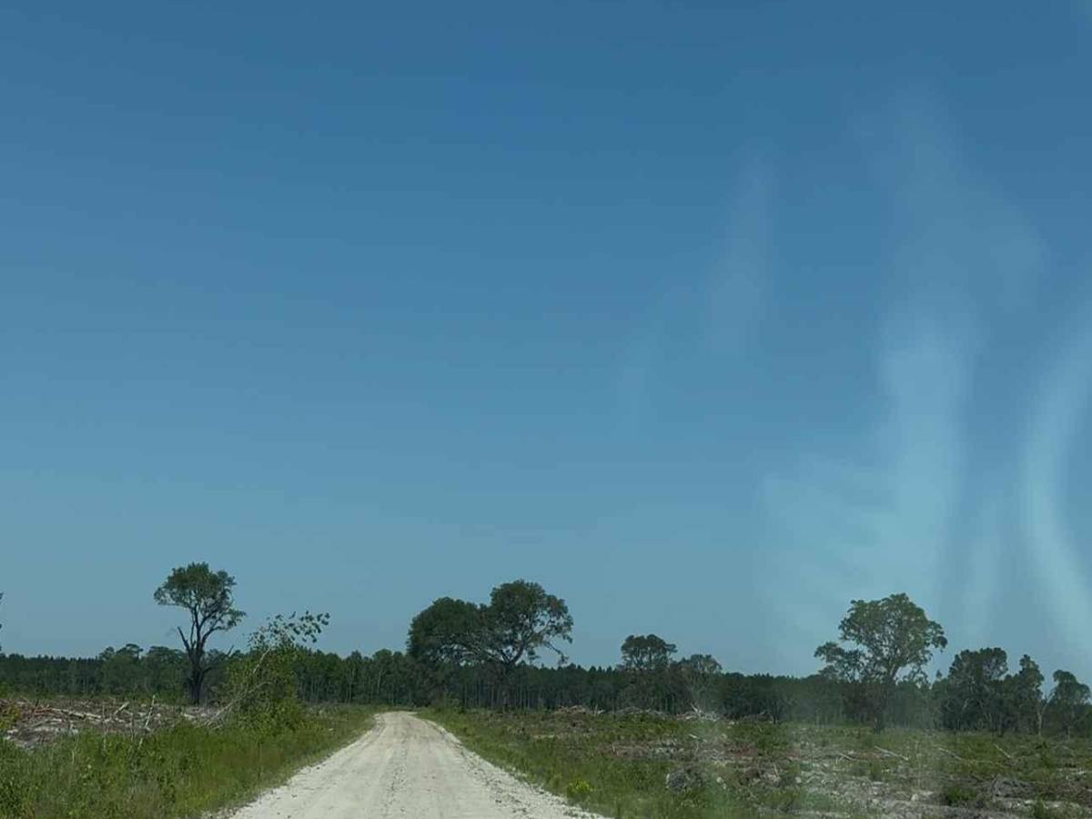 Satilla WMA Tour photo 5