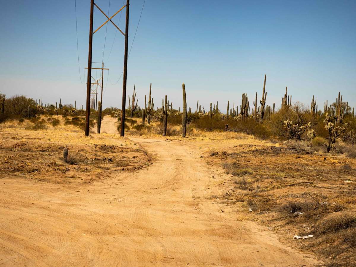 Power 11 trail photo