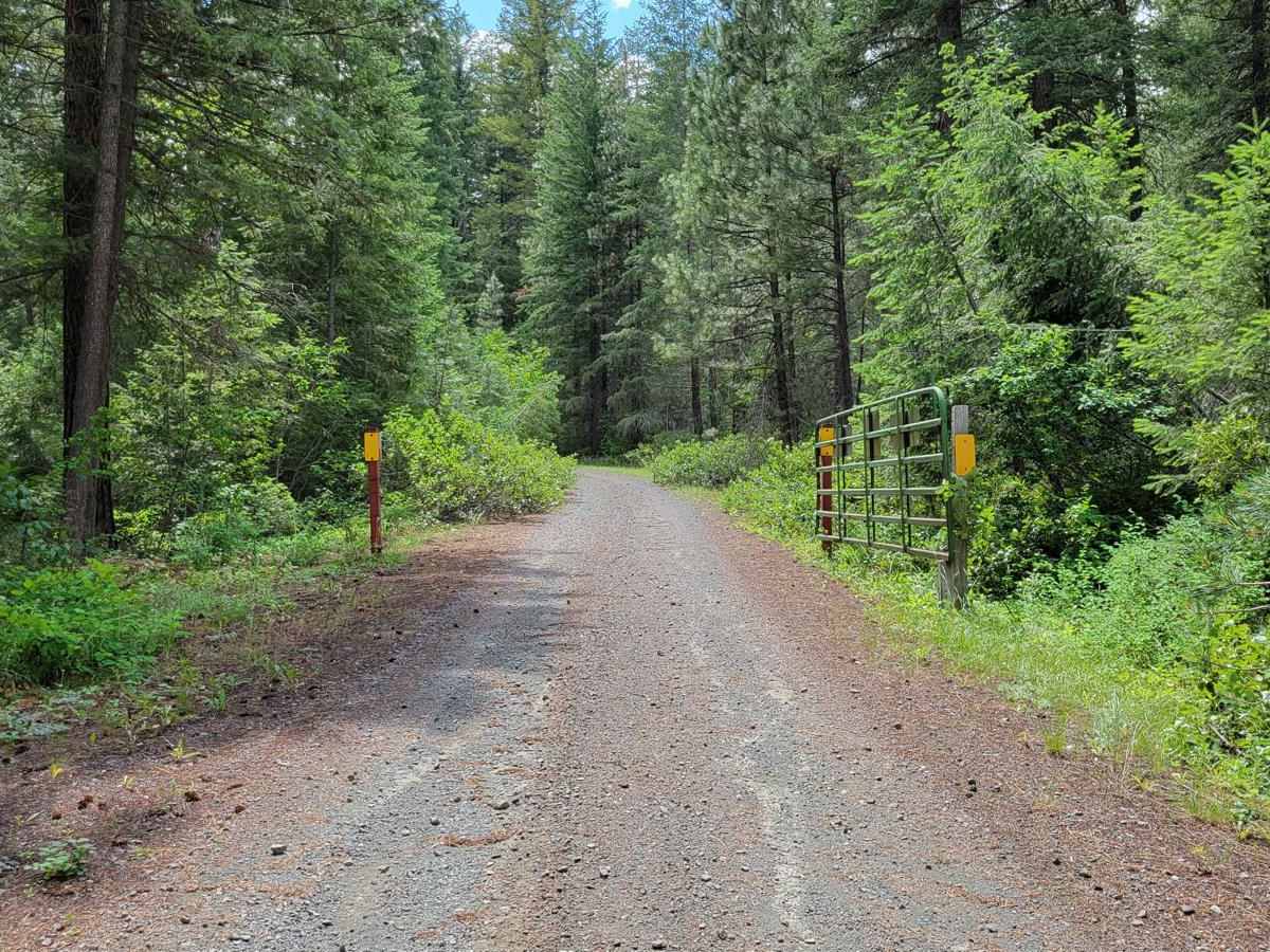 Newby Creek (4350100) trail photo
