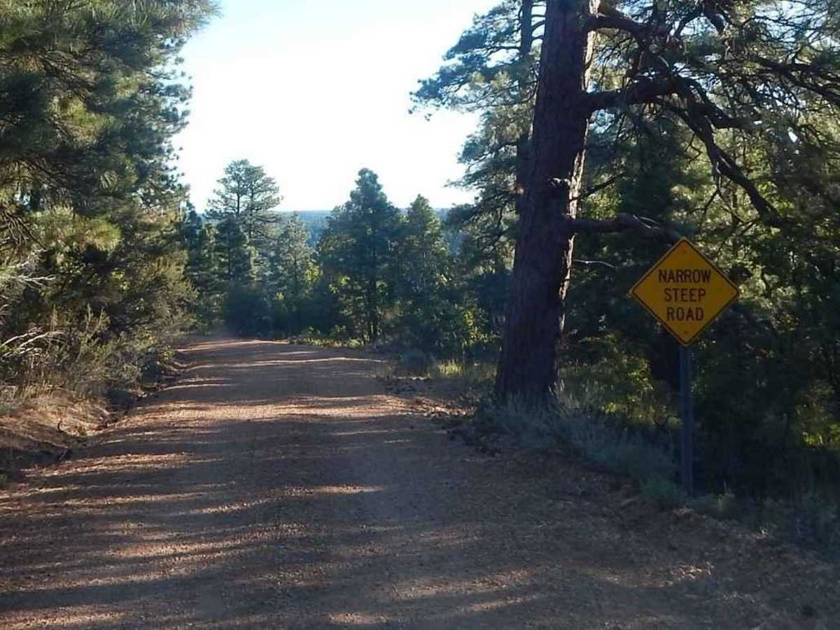 FR 292 Crazy Jug Point photo 6