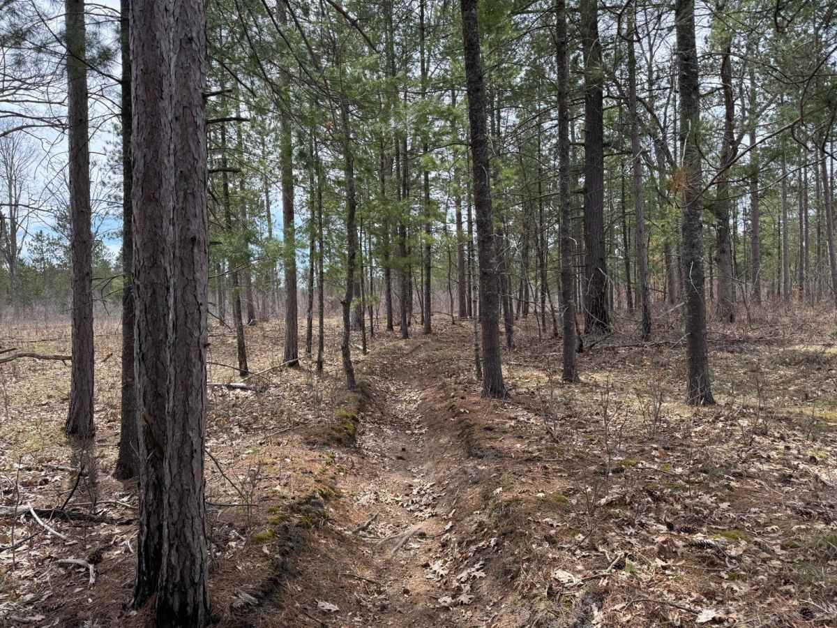 Grand Traverse East Connector photo 2