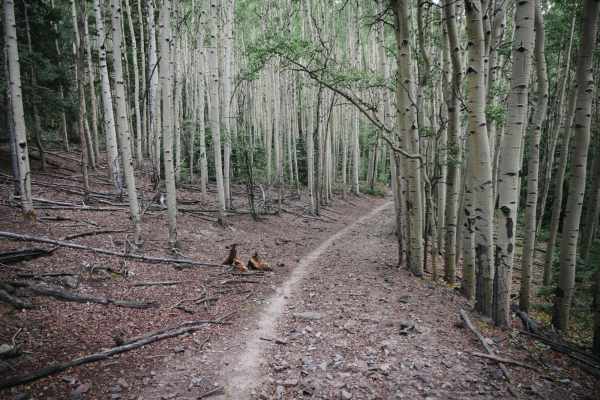 Hot Creek Trail