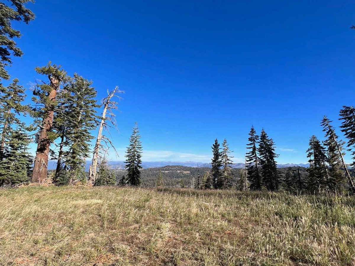Eagle Peak 4x4 Trail photo 5