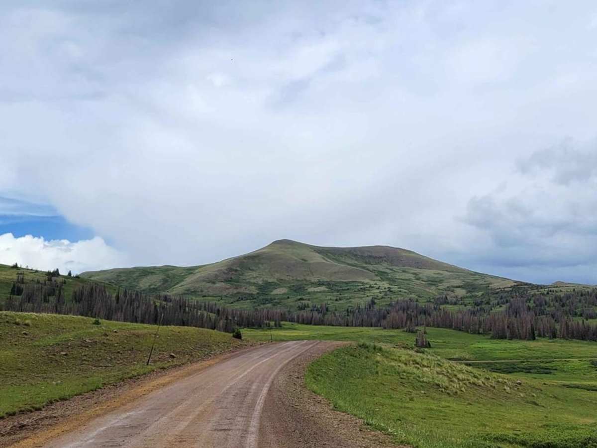 Pinos Creek and Summitville Roads photo 4
