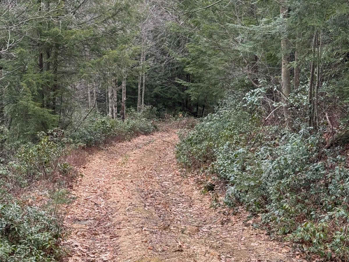 Wolf Run Trail photo 3