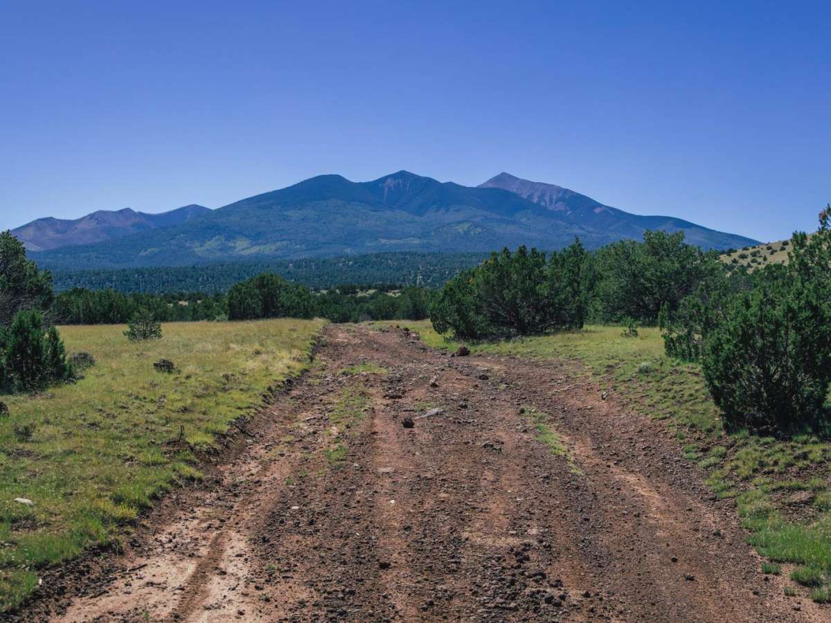Reese Canyon photo 5