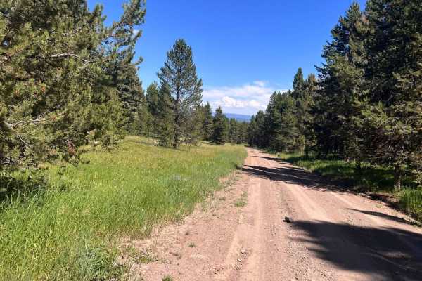 North Antelope Flat Road (20168)