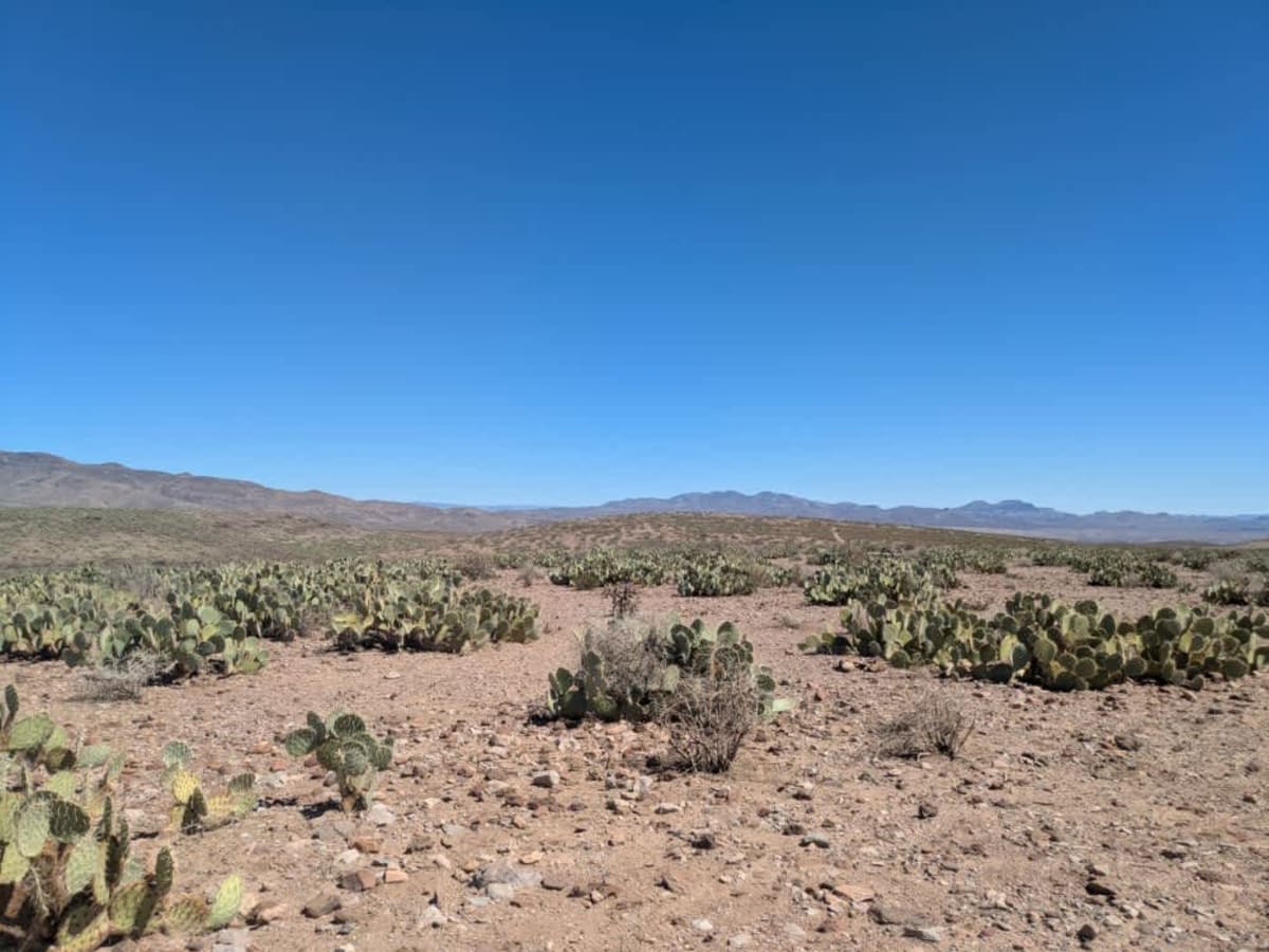 Trail 1007 photo 4