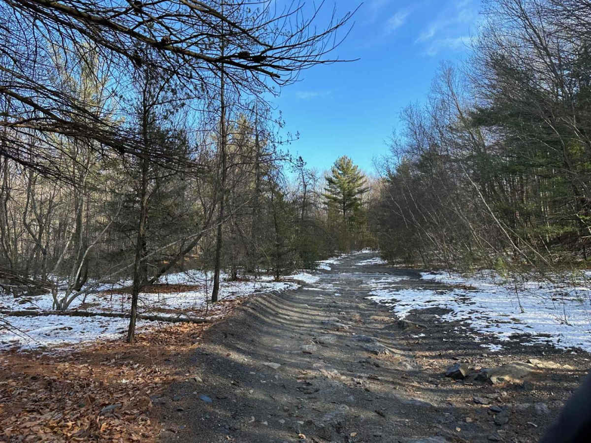 Locust Gap 36 photo 4