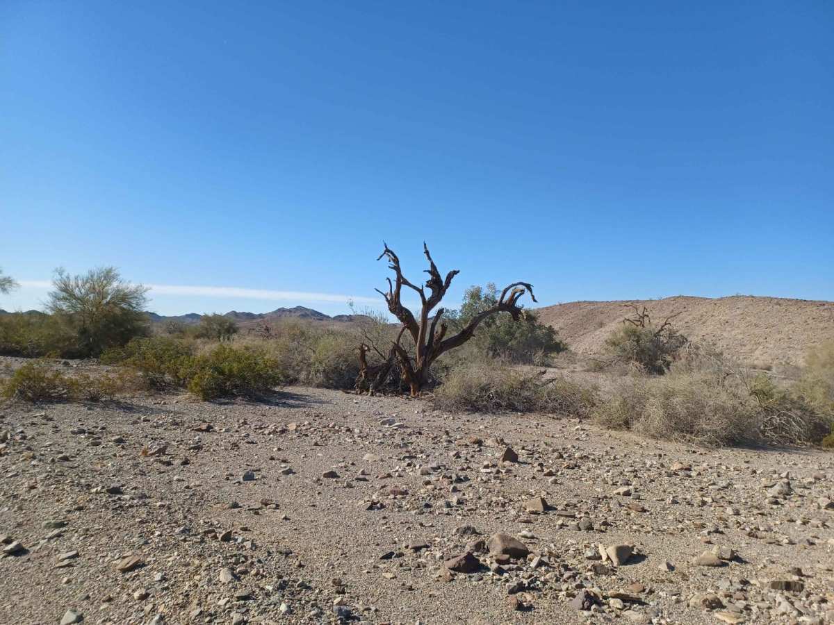 Vinagre Wash photo 3