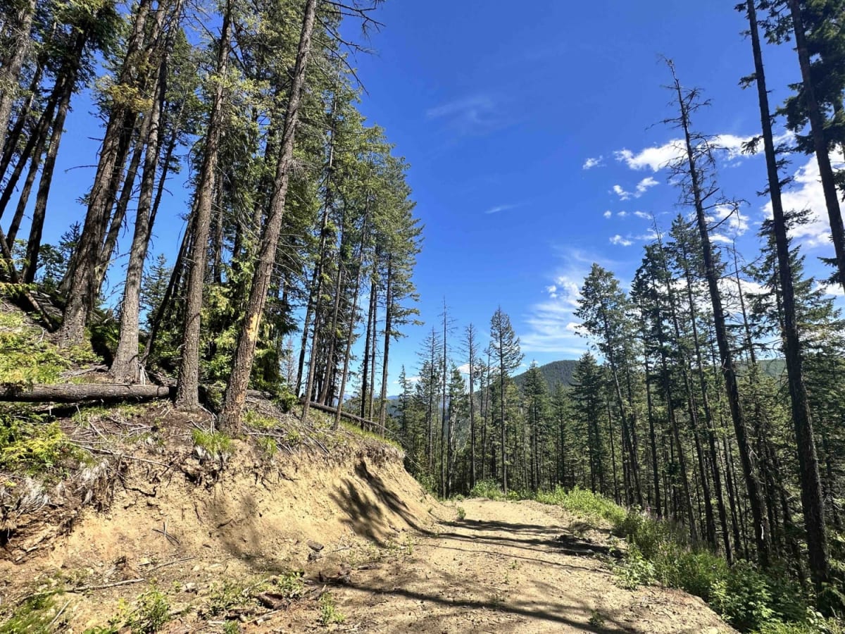 Bonneau Spur Route photo 2