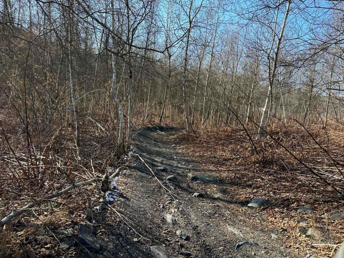 Locust Gap 59 photo 3
