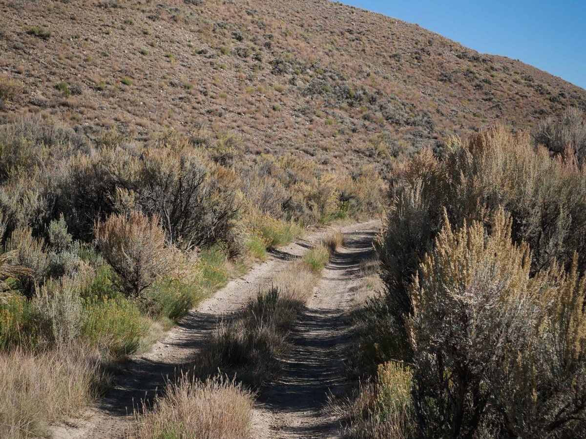 Muddy Creek ATV photo 5