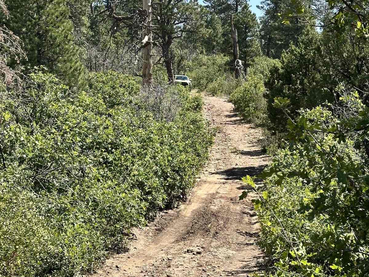 Swamp Point and North Bass Trailhead photo 6