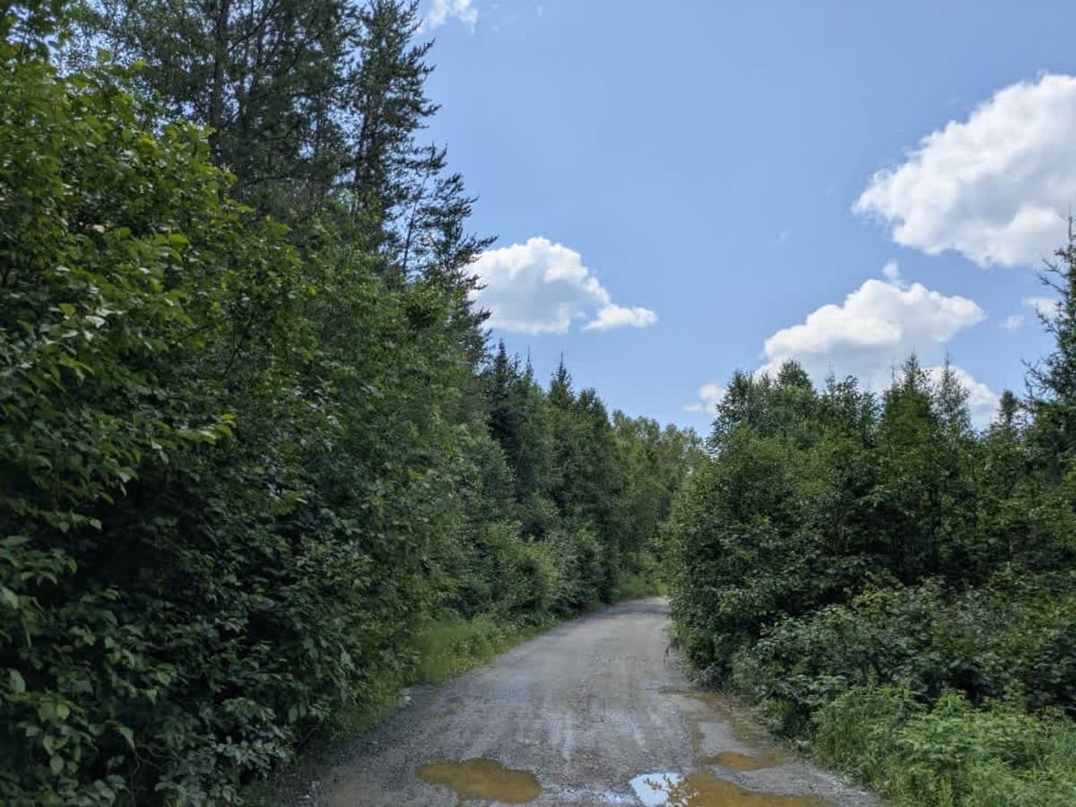 Birch Lake Access Road photo 3