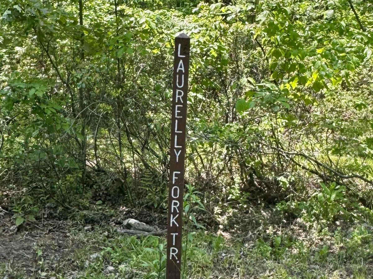 Dry Run Road photo 6