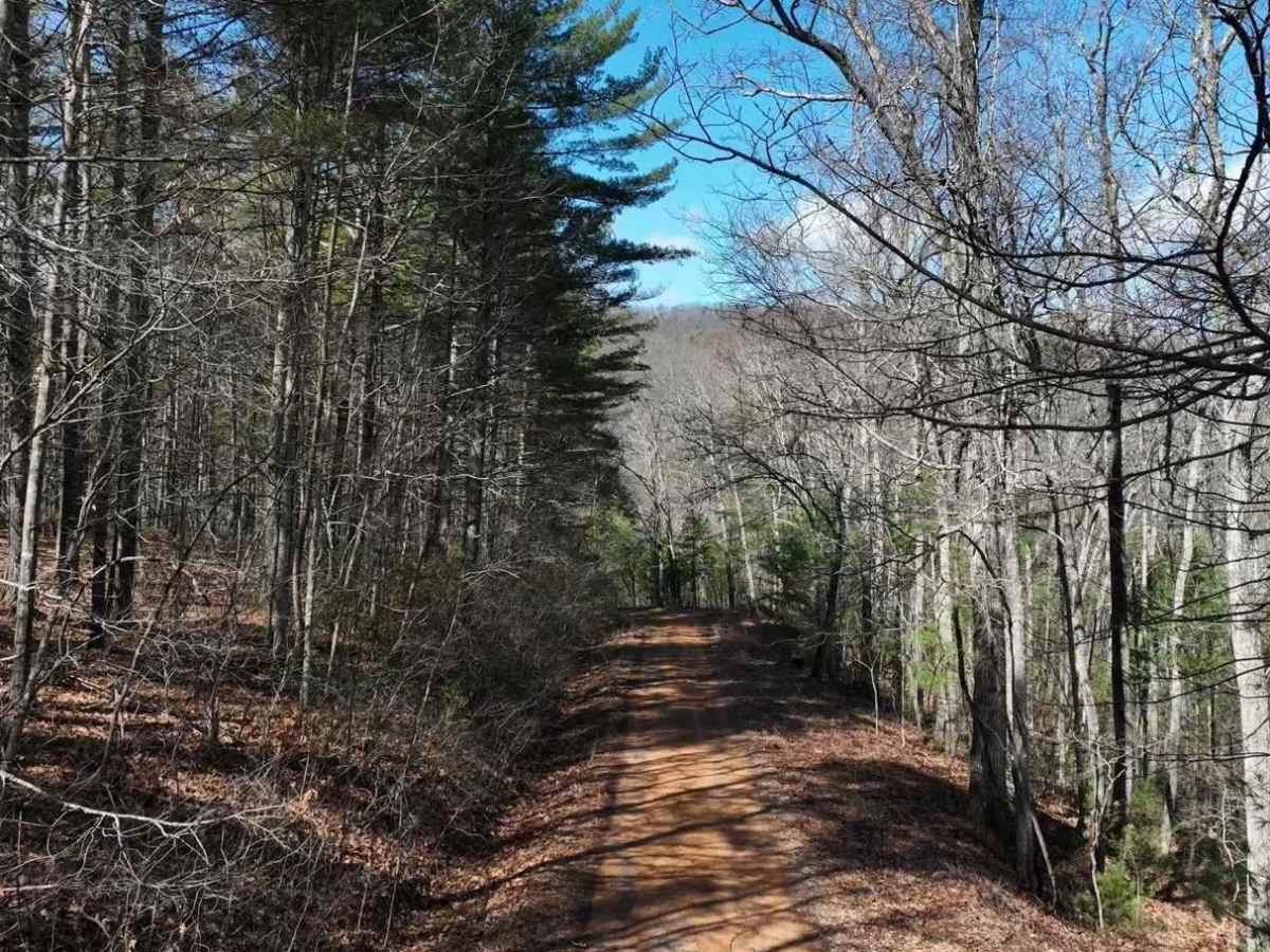 Archer Run trail photo