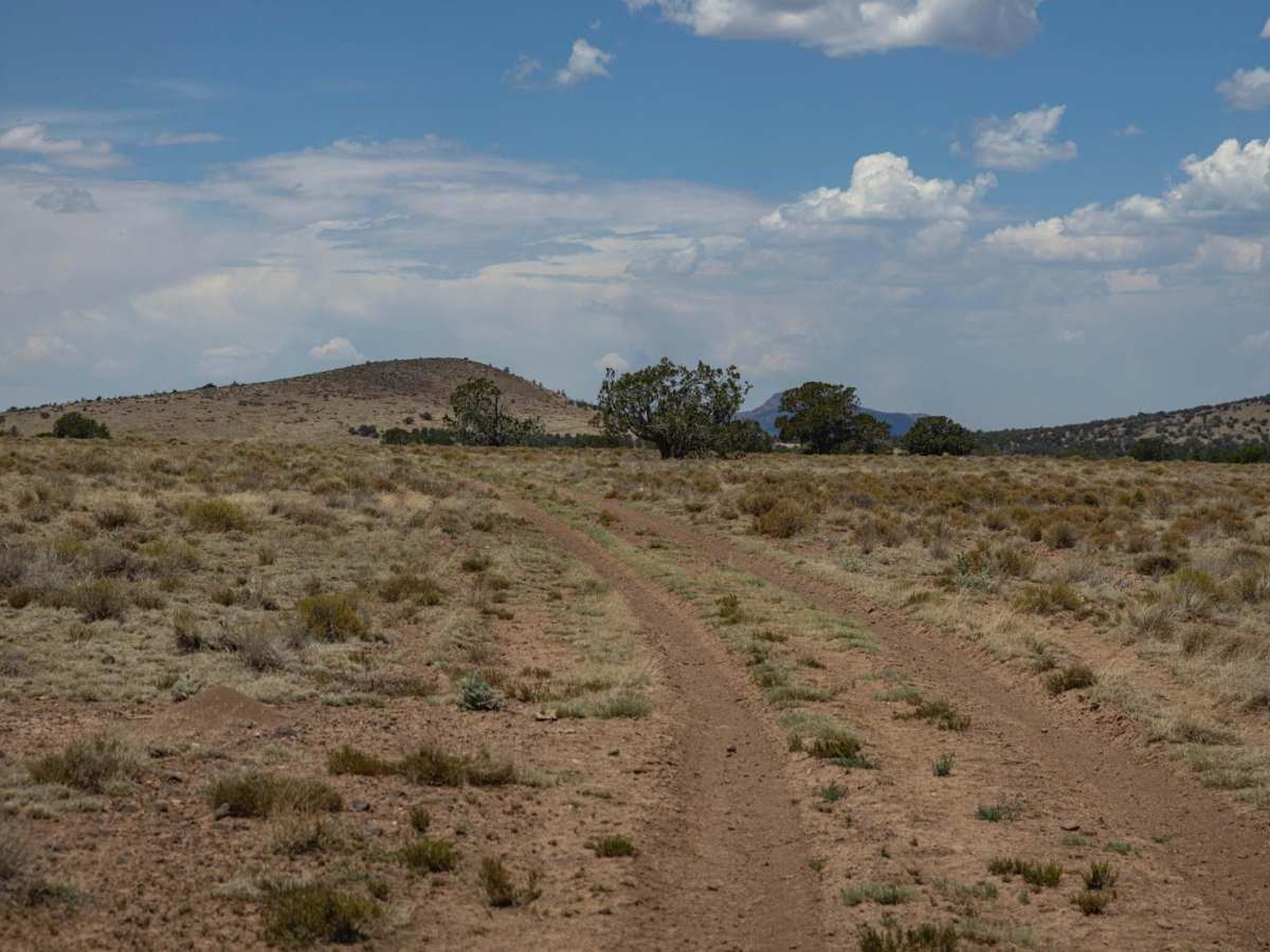Antelope Run photo 2