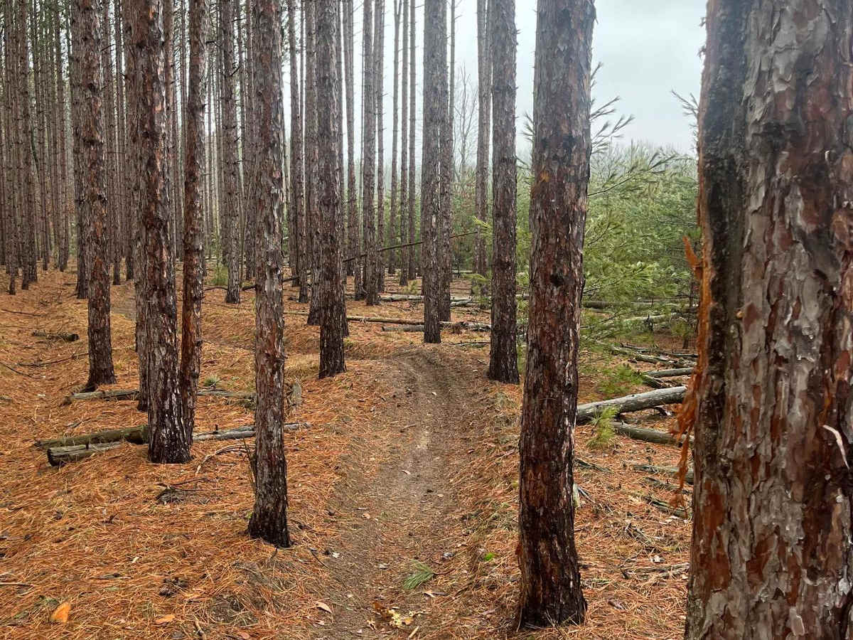 Horseshoe Motorcycle Trail Part 2 trail photo