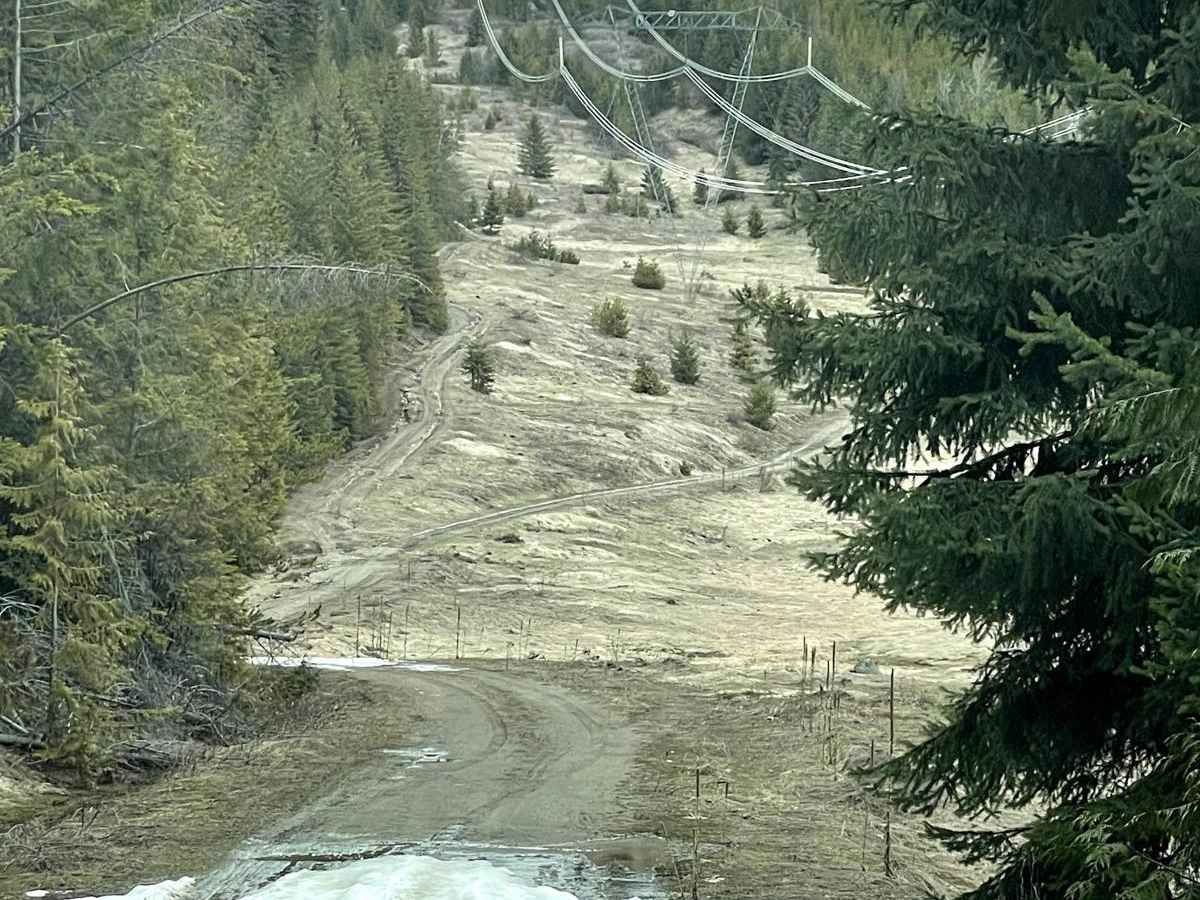 Butter Power Lines trail photo