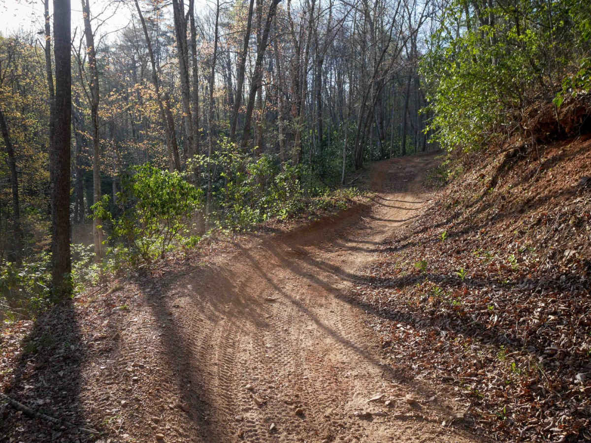 Blanton Branch Trail 10 photo 5