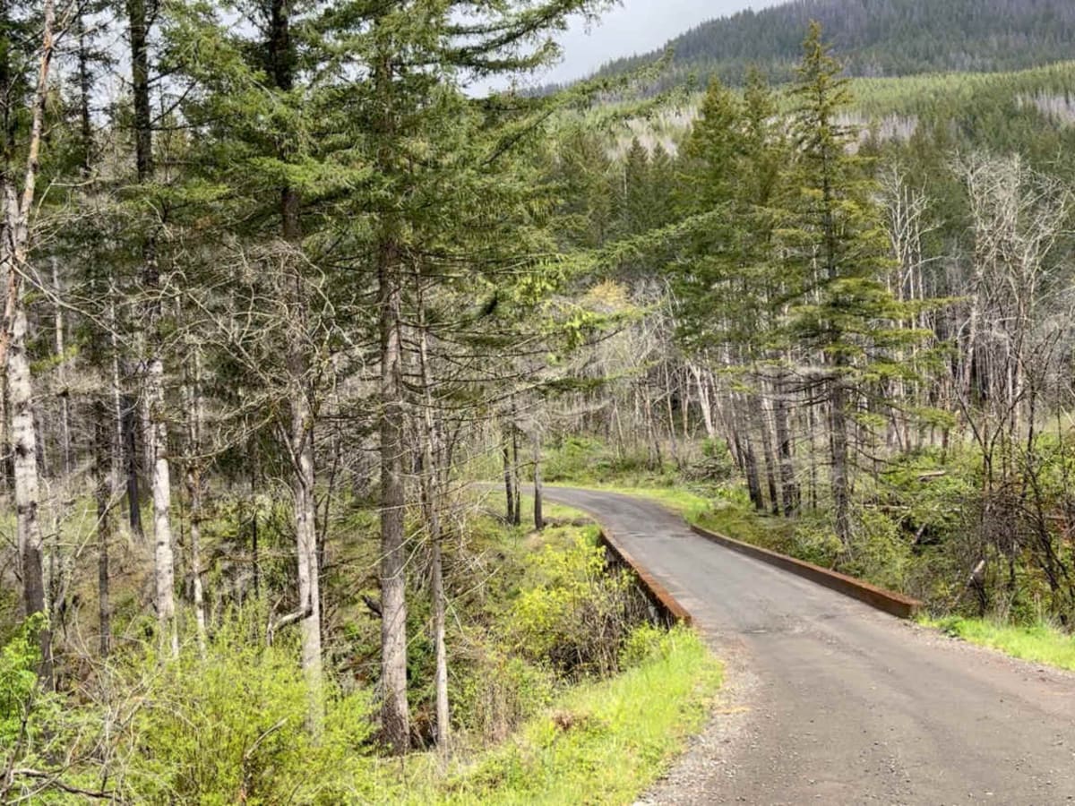 Horse Creek Road photo 4