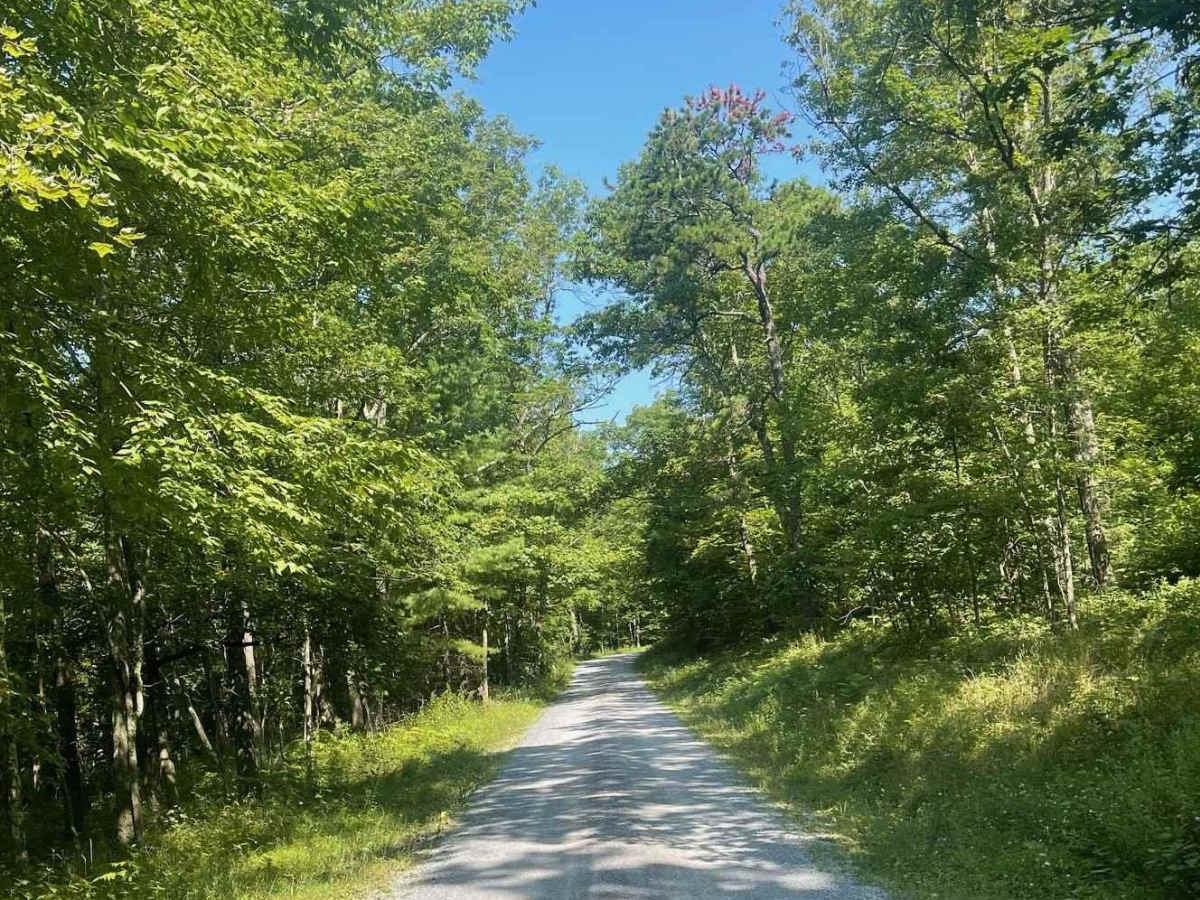 Big Springs Road photo 4