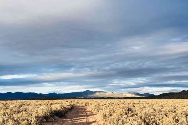 Willow Springs Half Loop