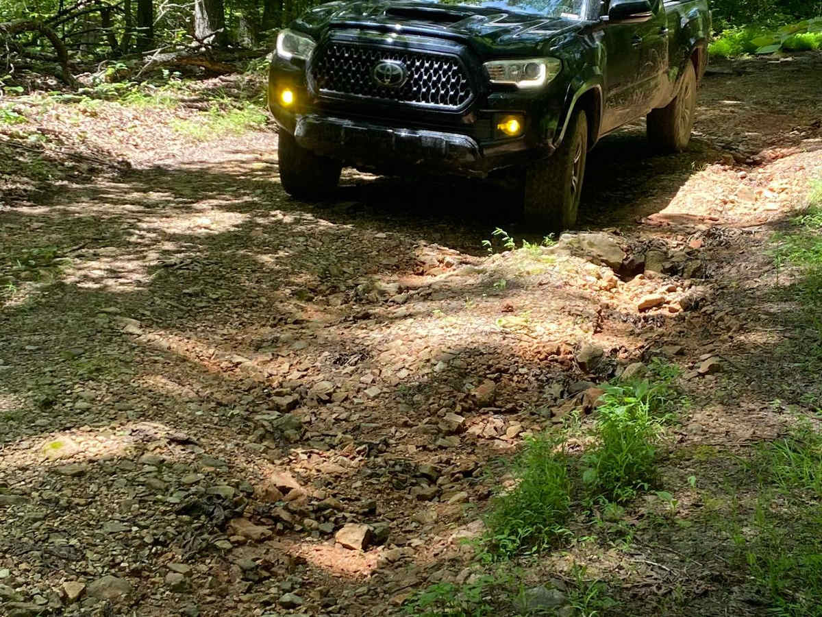 Bear Creek Road photo 2