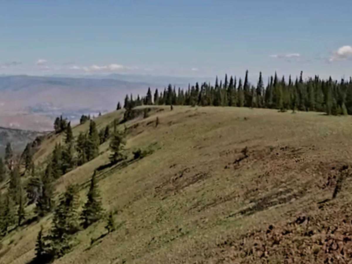 Naneum Ridge trail photo